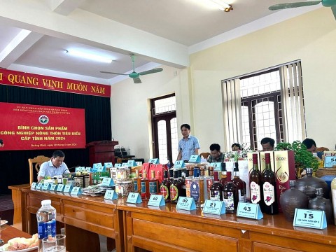 Quảng bình: Bình chọn sản phẩm công nghiệp nông thôn tiêu biểu