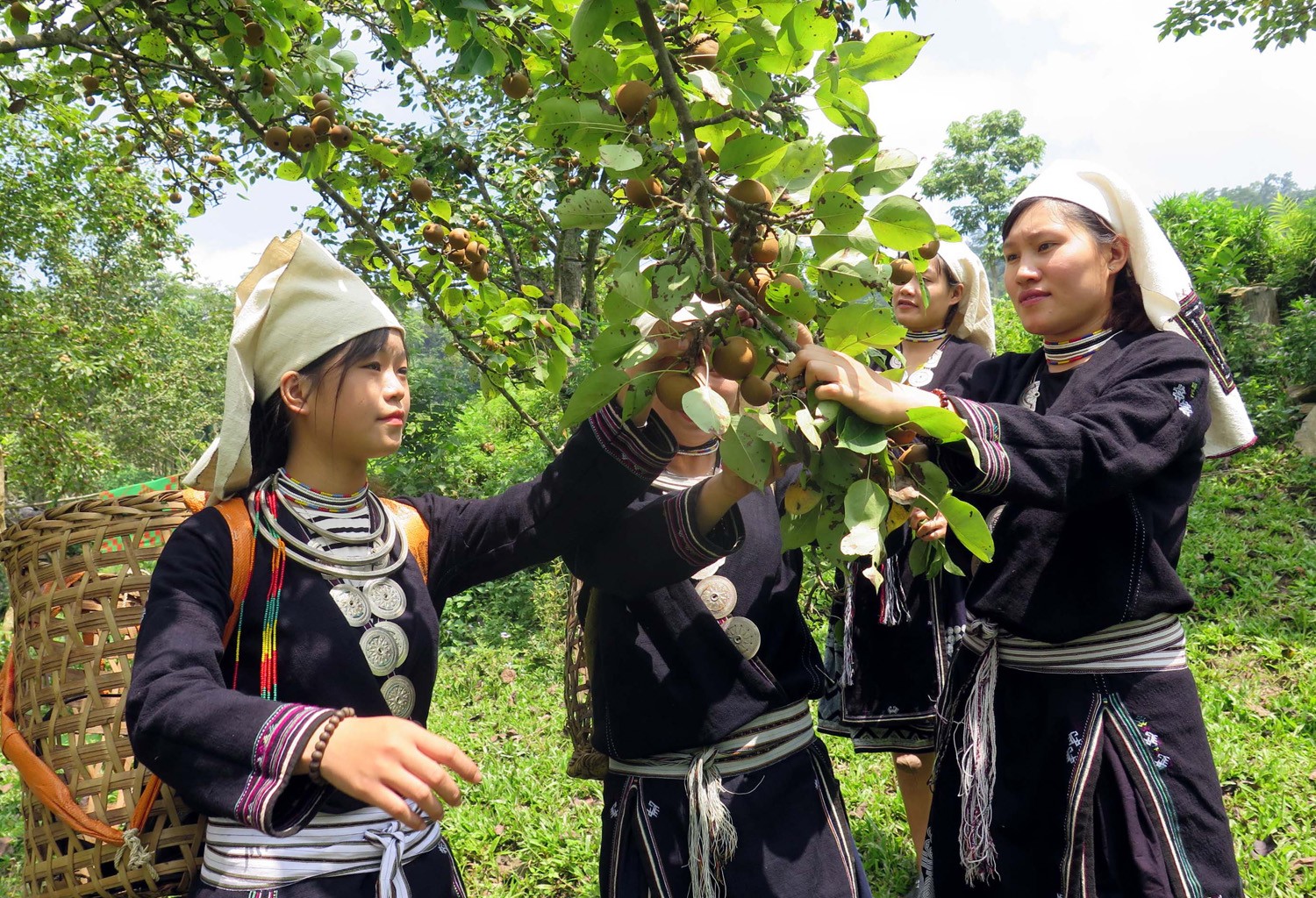 Thanh Hoá: Gìn giữ nghề thêu của đồng bào dân tộc Dao ở Thạch An
