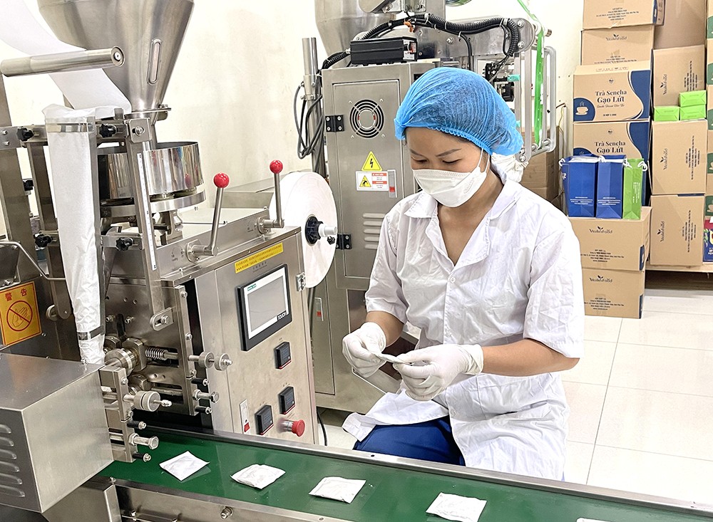 Sản xuất trà đinh lăng túi lọc theo công nghệ hiện đại, đạt tiêu chuẩn OCOP hạng 4 sao của Công ty TNHH Maika Food, khu 3, xã Xuân Lộc, huyện Thanh Thủy. Sản xuất trà đinh lăng túi lọc theo công nghệ hiện đại, đạt tiêu chuẩn OCOP hạng 4 sao của Công ty TNHH Maika Food, khu 3, xã Xuân Lộc, huyện Thanh Thủy.