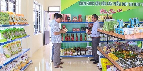 Huyện Triệu Sơn hỗ trợ phát triển sản phẩm OCOP