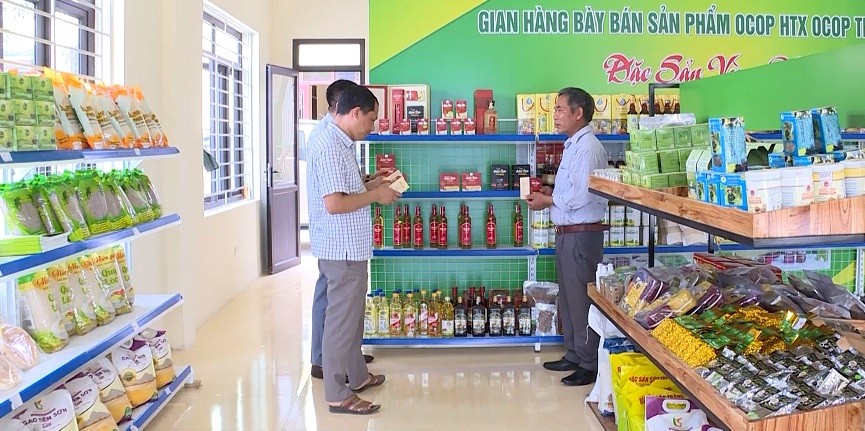 Huyện Triệu Sơn hỗ trợ phát triển sản phẩm OCOP
