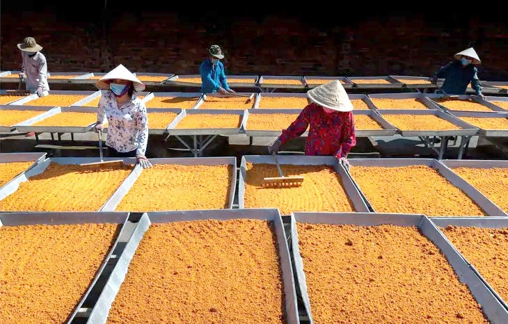 Làng nghề làm muối tôm ở các huyện Gò Dầu, thị xã Trảng Bàng, thị xã Hòa Thành, TP Tây Ninh và một số ít ở huyện Châu Thành, Bến Cầu, Dương Minh Châu,... Làng nghề làm muối tôm ở các huyện Gò Dầu, thị xã Trảng Bàng, thị xã Hòa Thành, TP Tây Ninh và một số ít ở huyện Châu Thành, Bến Cầu, Dương Minh Châu,...