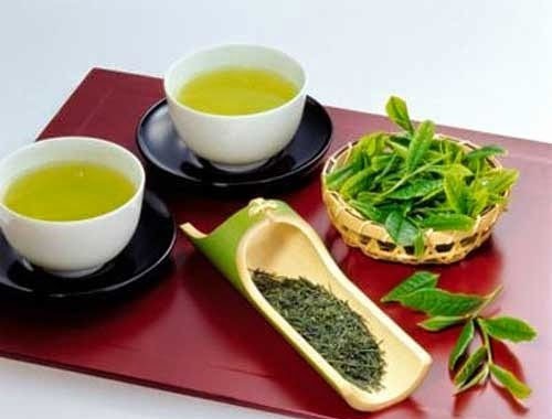 Tăng cường hợp đồng, hợp tác liên kết sản xuất với các hộ trồng chè trong tỉnh để mở rộng và chủ động về vùng nguyên liệu chè đáp ứng cho chế biến.