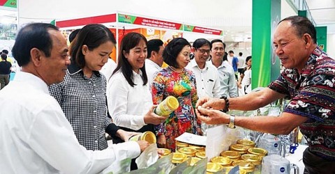 hoi cho hang viet da nang 2024 ton vinh san pham ocop