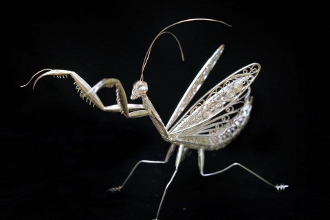 mem mai tua may trang