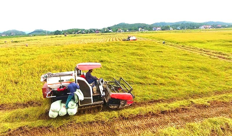 Thanh Hóa: Huyện Hà Trung về đích nông thôn mới Thanh Hóa: Huyện Hà Trung về đích nông thôn mới