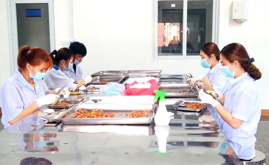 Phòng nuôi cấy đông trùng hạ thảo Phòng nuôi cấy đông trùng hạ thảo