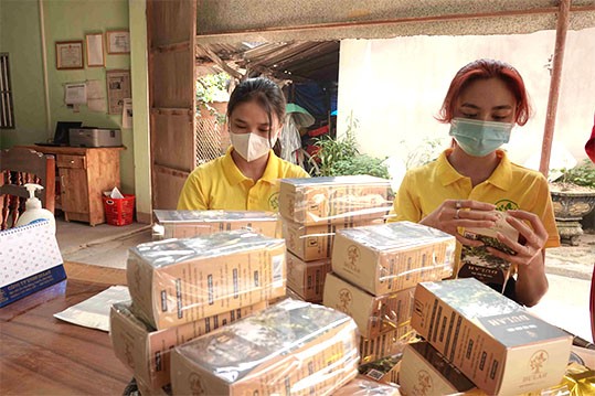 Sản phẩm trà nụ hoa hòe DULAH