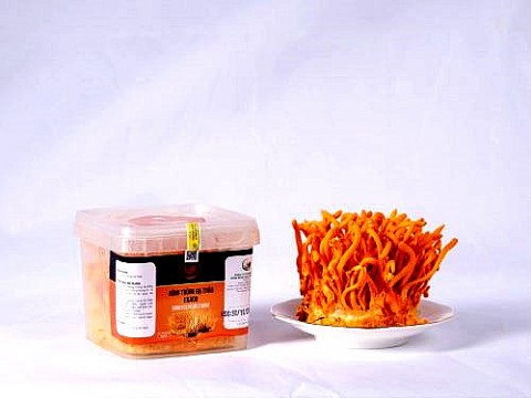 Tây Nguyên Pharma - Nâng cao sức khoẻ, nâng tầm cuộc sống