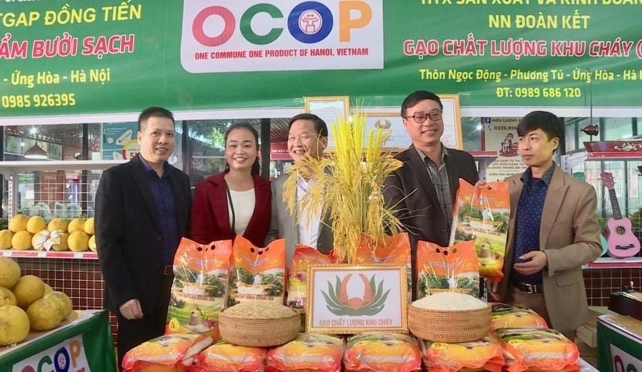 Sản phẩm OCOP gạo Japonica giống Nhật Bản JO2 có sức tiêu thụ mạnh. Sản phẩm OCOP gạo Japonica giống Nhật Bản JO2 có sức tiêu thụ mạnh.