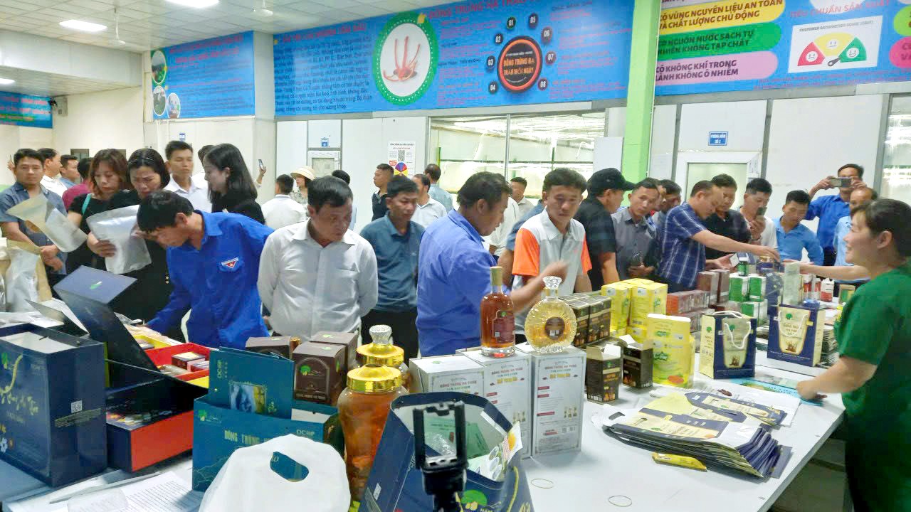 Tham gia các chương trình hội thảo, hội chợ, triển lãm trong và ngoài tỉnh giúp các sản phẩm nấm và đông trùng hạ thảo của HTX Nấm Tam Đảo, thị trấn Hợp Châu (Tam Đảo) mở rộng thị trường tiêu thụ. Ảnh: Chu Kiều Tham gia các chương trình hội thảo, hội chợ, triển lãm trong và ngoài tỉnh giúp các sản phẩm nấm và đông trùng hạ thảo của HTX Nấm Tam Đảo, thị trấn Hợp Châu (Tam Đảo) mở rộng thị trường tiêu thụ. Ảnh: Chu Kiều