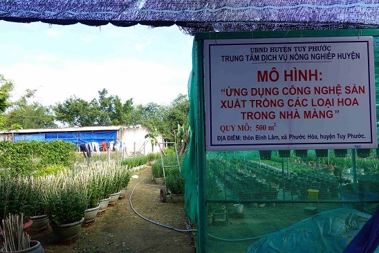 Bình Định Làng nghề trồng hoa Bình Lâm chính thức được công nhận làng nghề Bình Định Làng nghề trồng hoa Bình Lâm chính thức được công nhận làng nghề