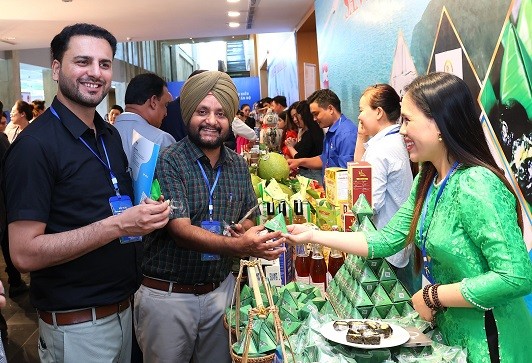 Bình Định thúc đẩy đầu tư, phát triển thương mại, du lịch với Ấn Độ Bình Định thúc đẩy đầu tư, phát triển thương mại, du lịch với Ấn Độ