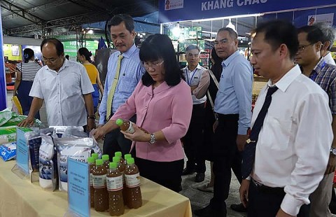 khai mac hoi cho cong thuong nam trung bo nam 2024