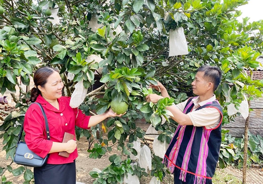 Mô hình nuôi trồng kết hợp của anh Trần Văn Đợi, (Nam Đông) mang lại hiệu quả kinh tế cao Mô hình nuôi trồng kết hợp của anh Trần Văn Đợi, (Nam Đông) mang lại hiệu quả kinh tế cao