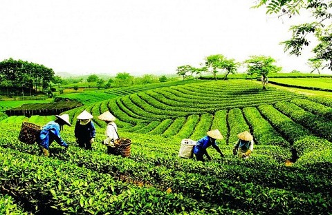 10 LUẬT CÓ HIỆU LỰC THI HÀNH từ 1/7/2024