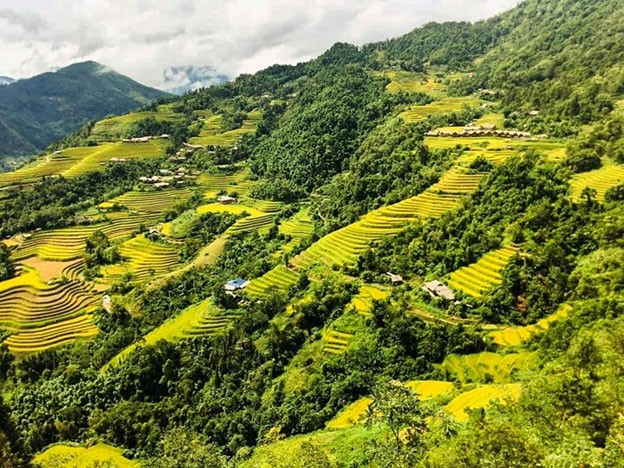 Qua miền di sản ruộng bậc thang Hoàng Su Phì