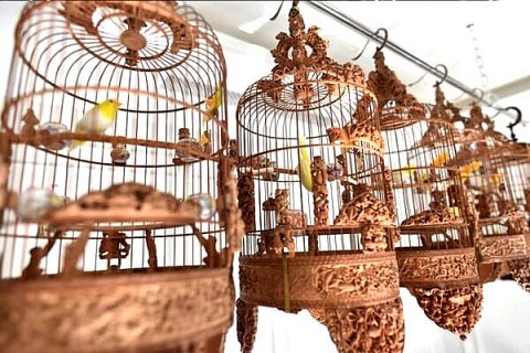 Làng nghề “làm nhà” cho chim cảnh