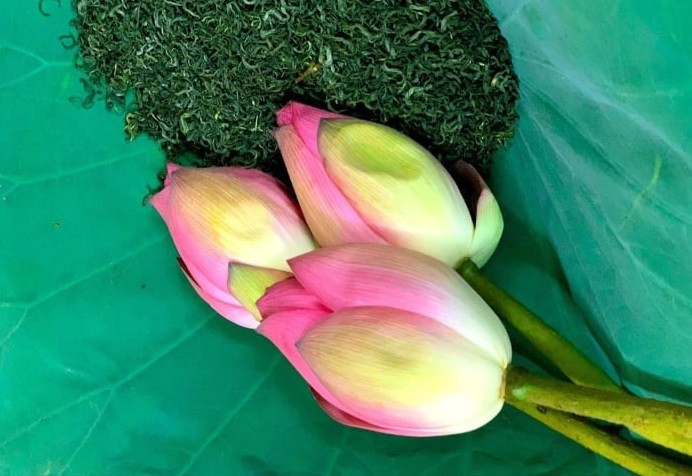 Tinh hoa các sản phẩm quý từ sen Tinh hoa các sản phẩm quý từ sen