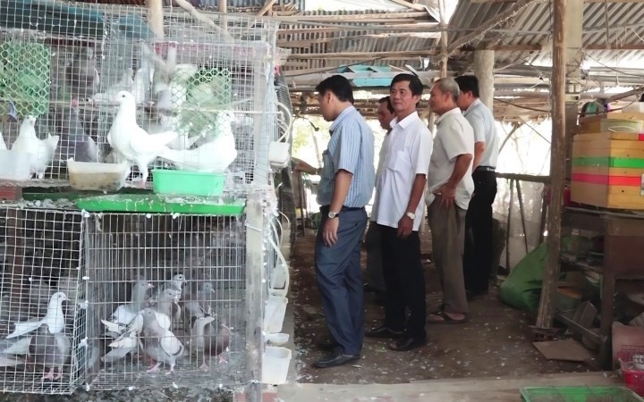 Hội nông dân xã thường xuyên tổ chức cho nông dân tham quan mô hình của chú Tiếng. Hội nông dân xã thường xuyên tổ chức cho nông dân tham quan mô hình của chú Tiếng.