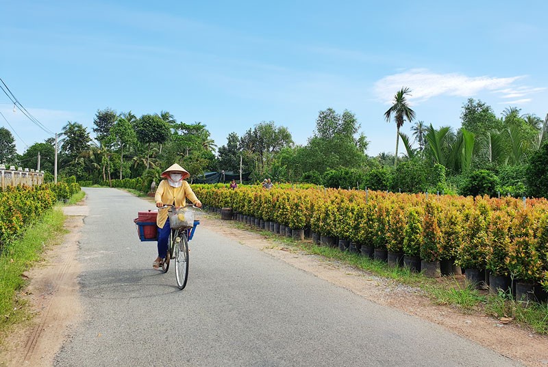 Đường nông thôn mới ở Bến Tre - Ảnh: VGP/Hoàng Trung