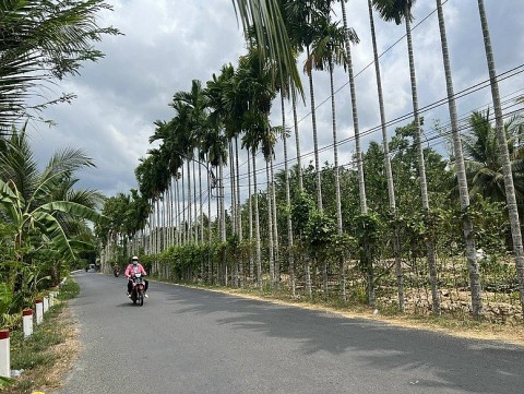 Bến Tre: Thêm 13 xã đạt chuẩn nông thôn mới, nông thôn mới nâng cao, nông thôn mới kiểu mẫu