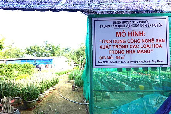 Mô hình trồng hoa trong nhà màng Mô hình trồng hoa trong nhà màng