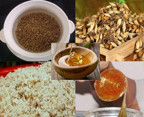 Mạch nha Thi Phổ