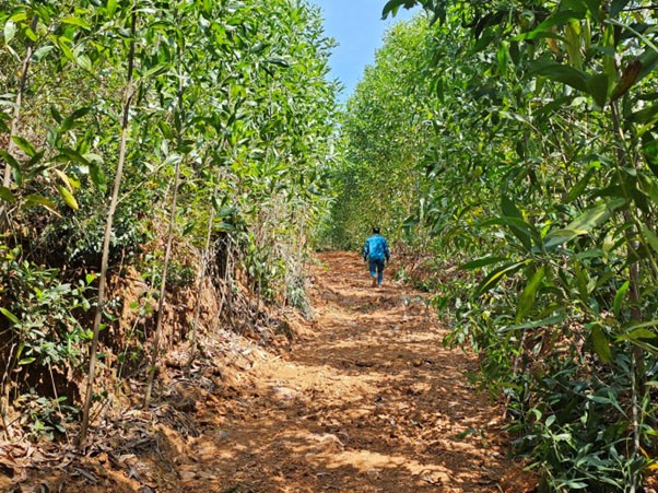 Đường lên Di tích lịch sử chiến thắng Đồi 174 khúc khuỷu, quanh co Đường lên Di tích lịch sử chiến thắng Đồi 174 khúc khuỷu, quanh co