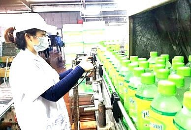 Khuyến công Quảng Ninh: Tập trung thực hiện một số giải pháp trọng tâm