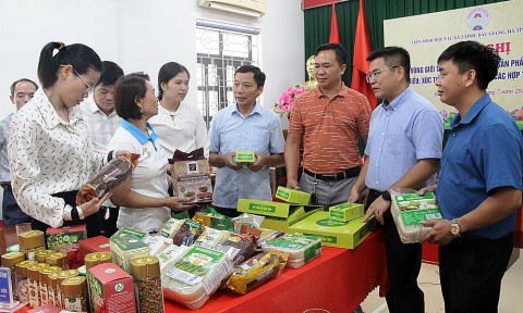 hoi nghi ket noi quang ba cac san pham ocop dac trung cua dia phuong