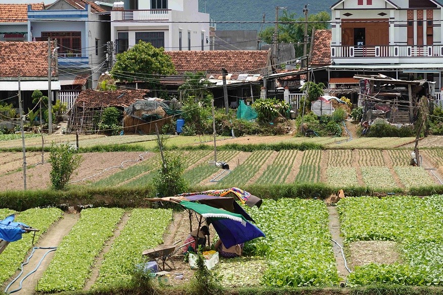 Phú Yên thành lập mới ít nhất 15 hợp tác xã vào năm 2030 Phú Yên thành lập mới ít nhất 15 hợp tác xã vào năm 2030