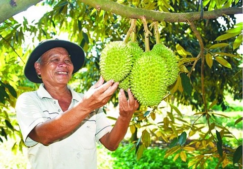 tphcm phan dau co it nhat 50 so xa dat chuan nong thon kieu mau