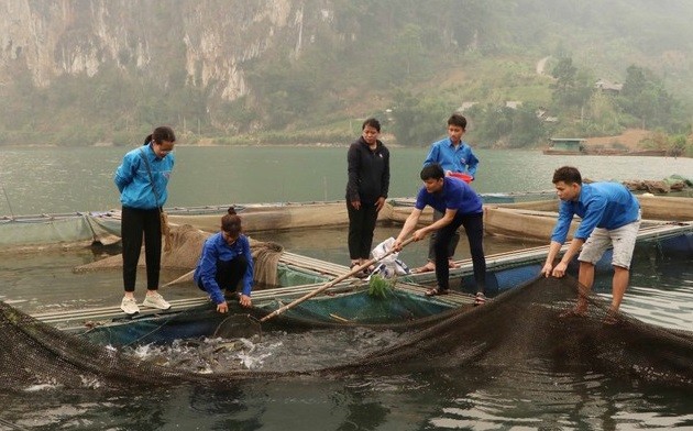 Mô hình nuôi cá lồng của Lường Văn Chùm (Người cầm vợt) ở xã Ta Gia, huyện Than Uyên, tỉnh Lai Châu tạo công ăn việc làm cho nhiều thanh niên tại xã. Ảnh: Nguyễn Oanh-TTXVN