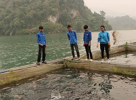lai chau nhieu giai phap ho tro thanh nien khoi nghiep