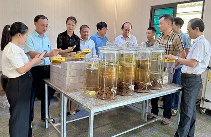 Hội đồng đánh giá, phân hạng sản phẩm OCOP huyện Hương Sơn kiểm tra sản phẩm rượu nhung hươu và cao nhung hươu tại HTX Hươu sao Ngọc Linh (xã Sơn Giang)...