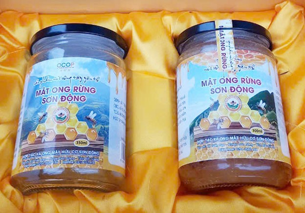 Sản phẩm Mật ong rừng Sơn Động của HTX Ong mật hữu cơ Sơn Động. Sản phẩm Mật ong rừng Sơn Động của HTX Ong mật hữu cơ Sơn Động.