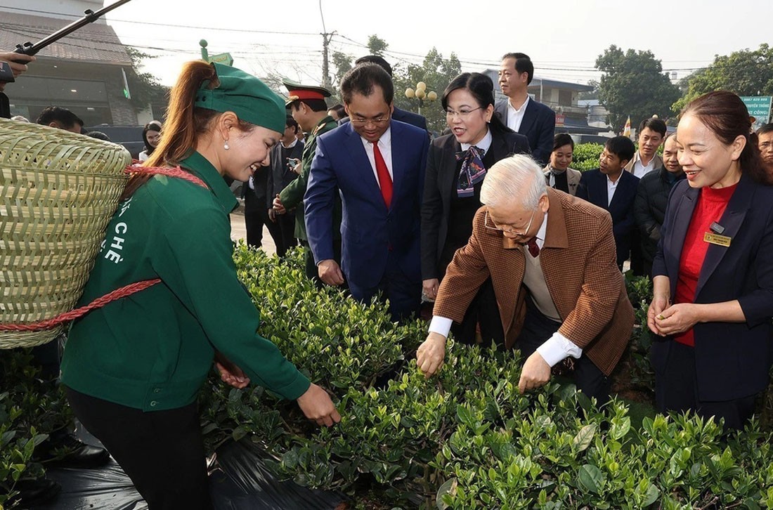 Tổng bí thư Nguyễn Phú Trọng thăm vườn chè của Hợp tác xã Hảo Đạt, thành phố Thái Nguyên 10-1-2023