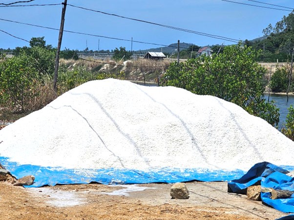 Phú Yên: Phát triển bền vững làng nghề làm muối Tuyết Diêm