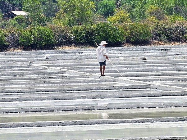 Thôn Tuyết Diêm có 325 hộ với 620 thành viên tham gia HTX muối Tuyết Diêm