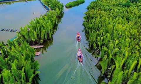 Quảng Ngãi: điểm du lịch Rừng dừa nước Tịnh Khê