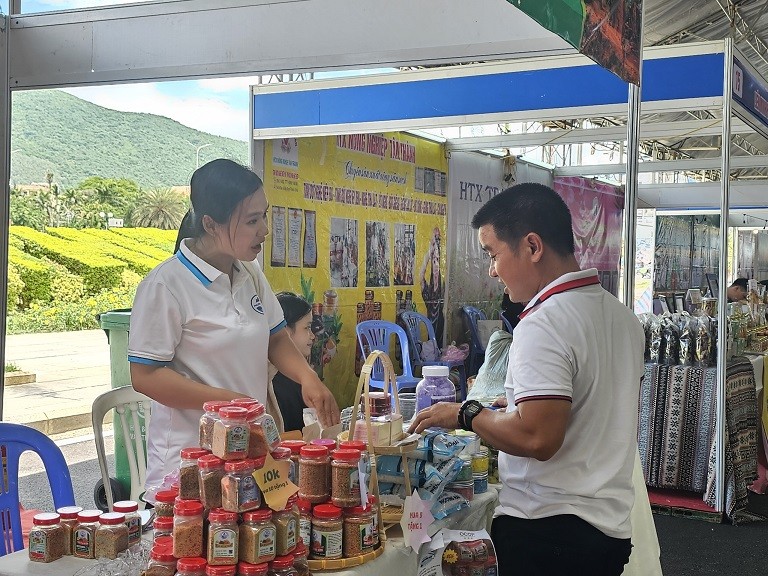 Hơn 1.000 sản phẩm OCOP tham gia Hội chợ Xúc tiến thương mại cho khu vực kinh tế tập thể, HTX năm 2024 Hơn 1.000 sản phẩm OCOP tham gia Hội chợ Xúc tiến thương mại cho khu vực kinh tế tập thể, HTX năm 2024