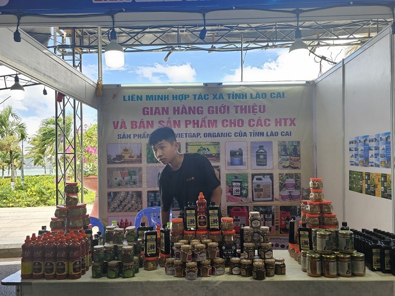 Hơn 1.000 sản phẩm OCOP tham gia Hội chợ Xúc tiến thương mại cho khu vực kinh tế tập thể, HTX năm 2024 Hơn 1.000 sản phẩm OCOP tham gia Hội chợ Xúc tiến thương mại cho khu vực kinh tế tập thể, HTX năm 2024