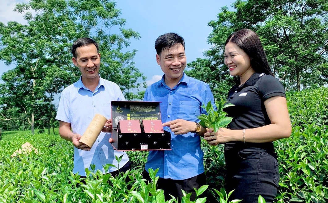 Tuyên Quang: Triển khai hiệu quả hoạt động khuyến công Tuyên Quang: Triển khai hiệu quả hoạt động khuyến công