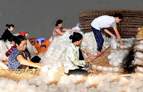 Nghề làm mỳ gạo ở Tử Nê