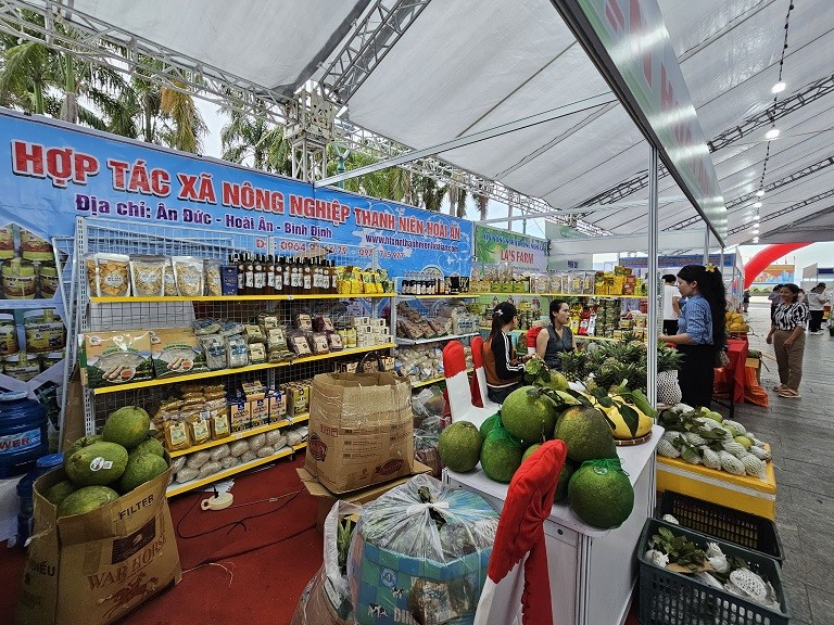 Bình Định phát triển kinh tế tập thể, hợp tác xã năm 2025 Bình Định phát triển kinh tế tập thể, hợp tác xã năm 2025