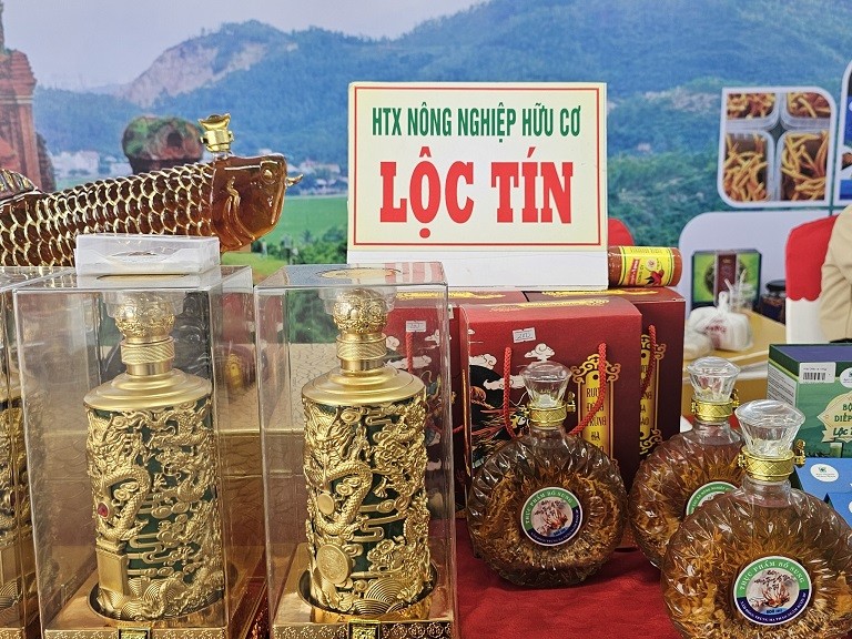 Bình Định phát triển kinh tế tập thể, hợp tác xã năm 2025