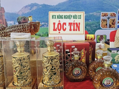 Bình Định phát triển kinh tế tập thể, hợp tác xã năm 2025