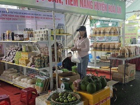 binh dinh thanh lap va kien toan to khuyen nong cong dong