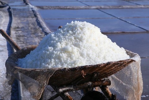 Nam Định: Gỡ khó cho nghề muối